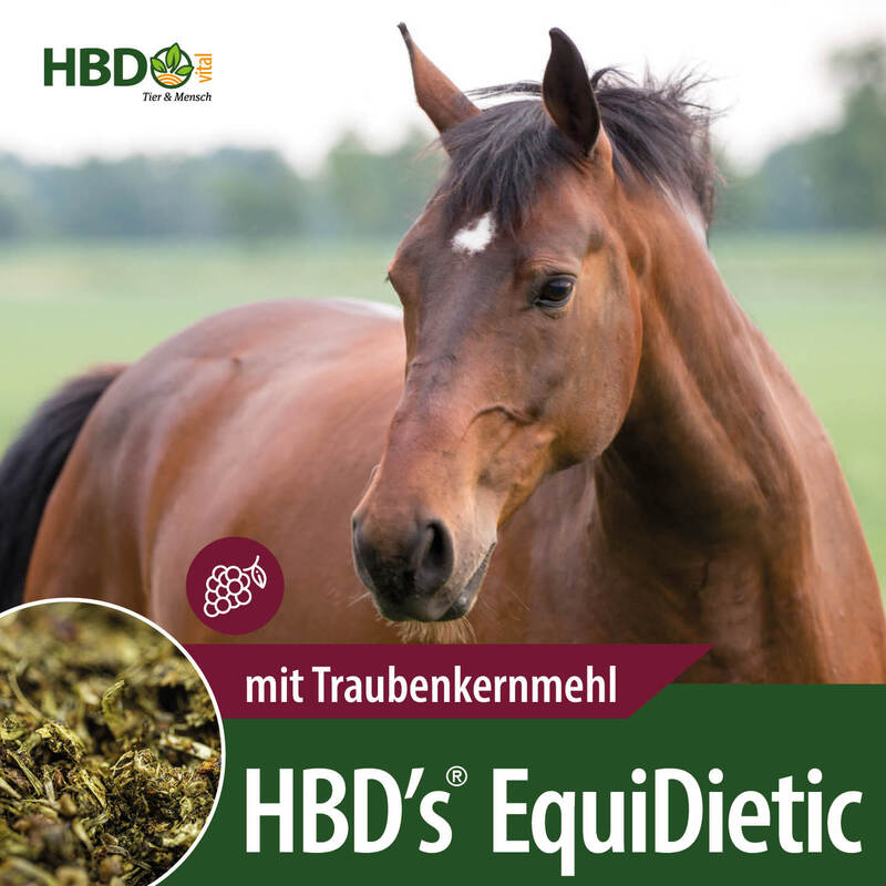 HBD’s® EquiDietic TKM (mit Traubenkernmehl)