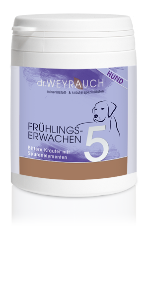 Dr. Weyrauch Nr. 5 Frühlingserwachen Dosen 