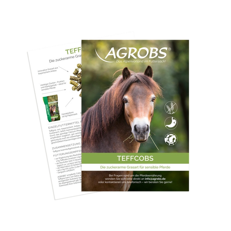 788491_agrobs_teffcobs-flyer_96dpi_1000x1000px