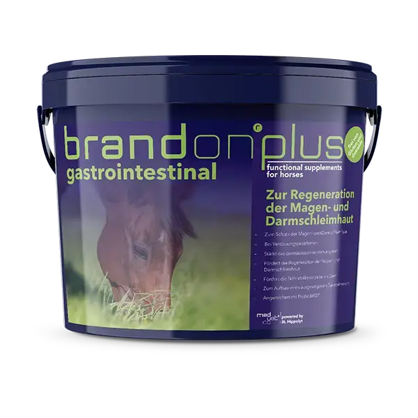 BrandonPlus Gastrointestinal 3kg  Eimerabbildung