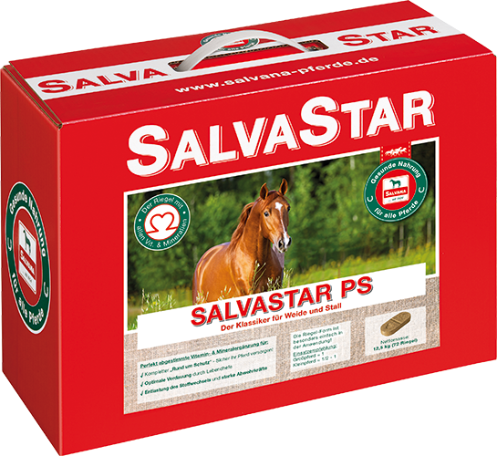 PS-Cake 12,5kg