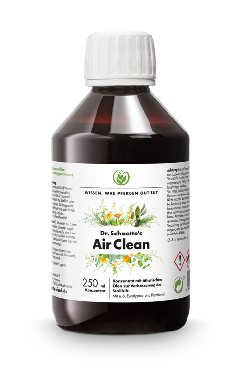 DR. Schaette Air Clean 250ml Flasche 