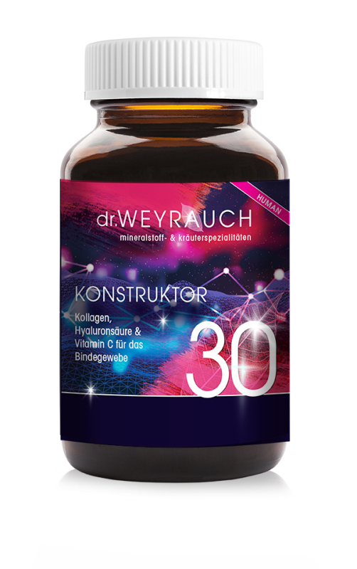 dr. Weyrauch Nr. 30 Konstruktor human