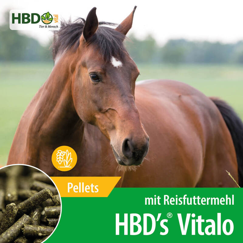 HBD's Vitalo 