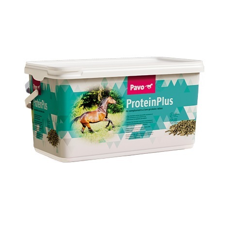 pavo-proteinplus